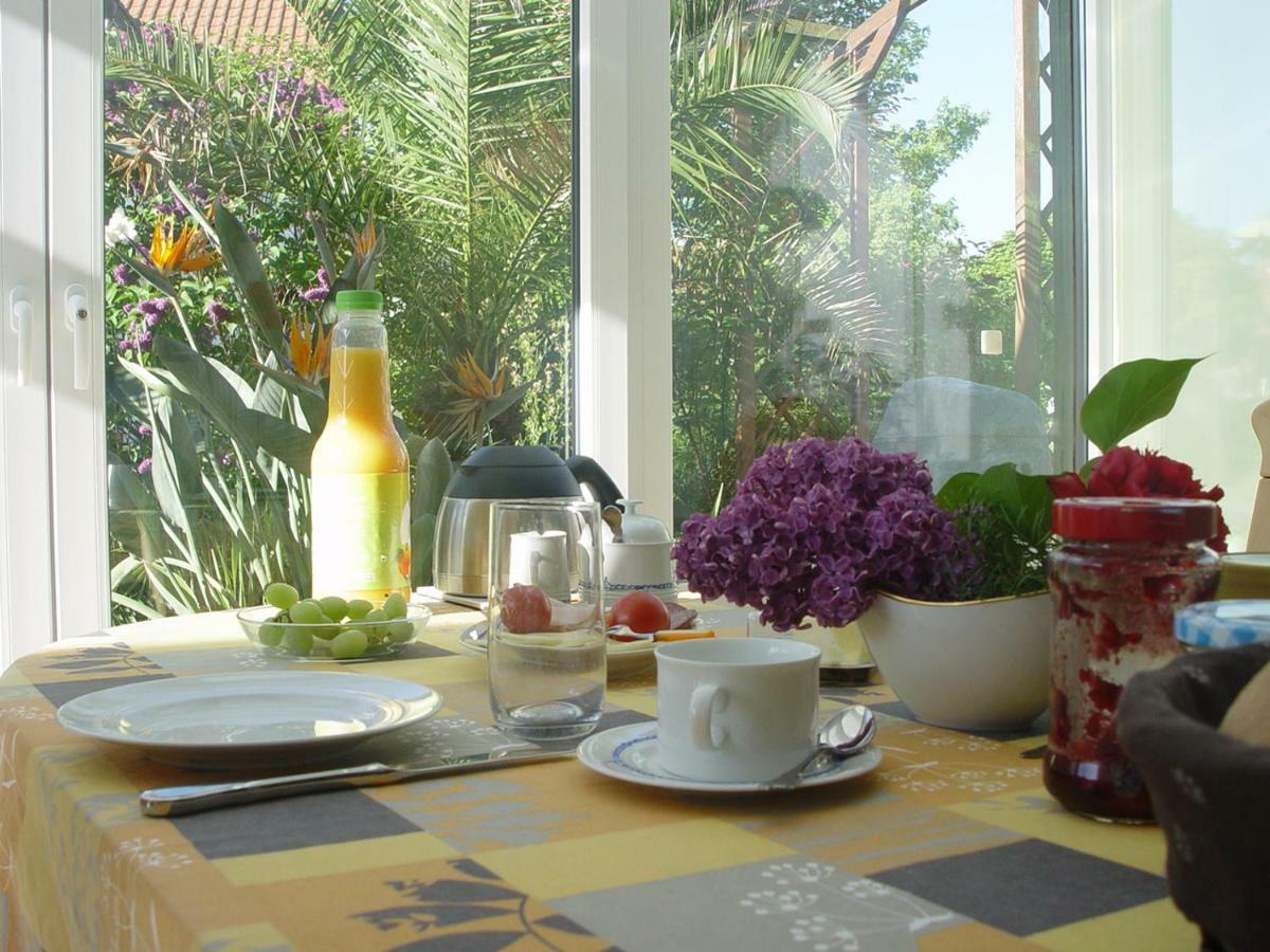Privatzimmer Mit Aussicht Pirna Exteriér fotografie
